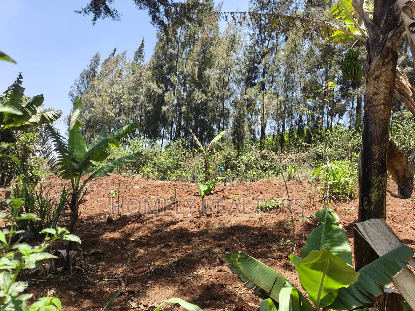 Red Soil Quarter Acre Plot for Sale in Kerarapon Drive. Scenic View