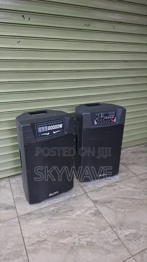 Ailipu 2*15 Inch Speaker
