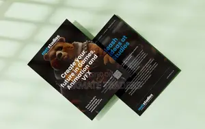 Promotional Retail Flyers
