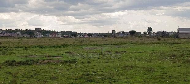 50x100 Plots for Sale in Pema Estate, Mbaruk