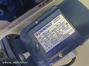 1hp Pedrollol Water Pump