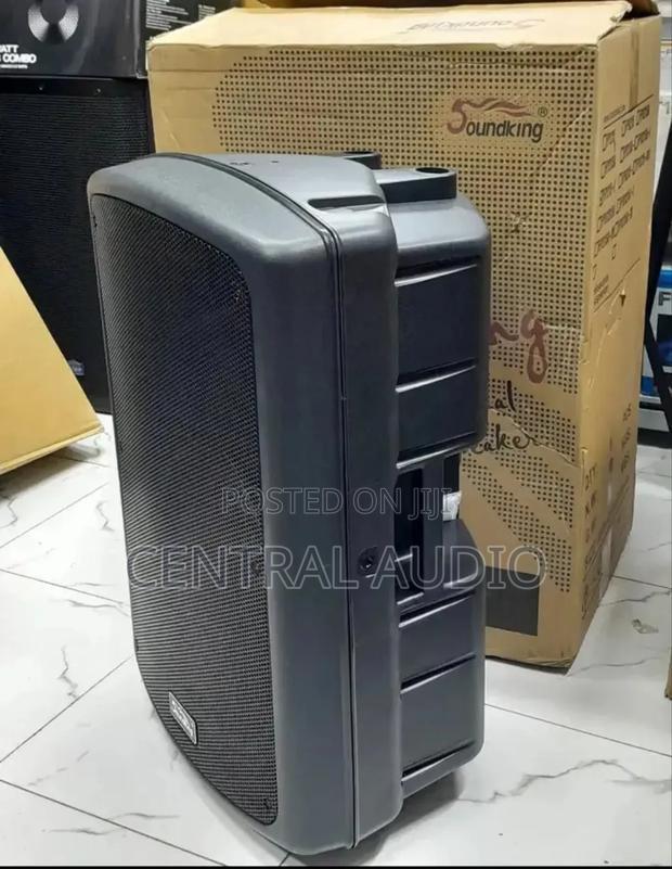 Soundking 15inch Midrange Plastic Speaker - main view