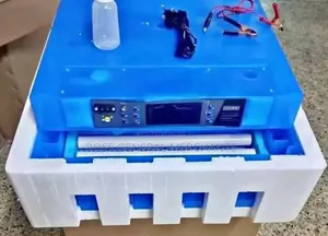 64 Eggs Incubator/Eggs Incubator