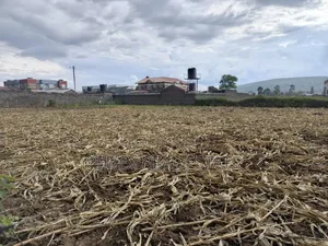 50x100 Plot for Sale in Barnabas, 200 Metres From Nakuru - NRB Highway