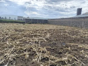 50x100 Plot for Sale in Barnabas, 200 Metres From Nakuru - NRB Highway