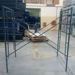 Standard Scaffolding Ladders