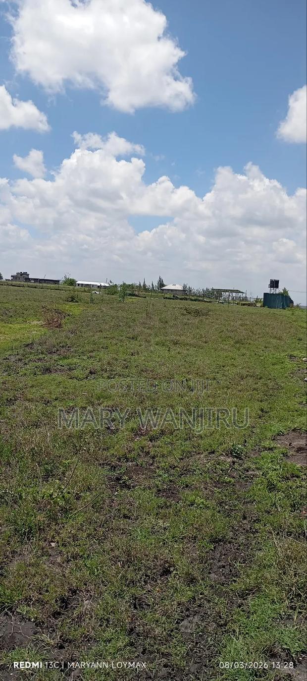 50/100 Plot Available for Sale - thumbnail 3