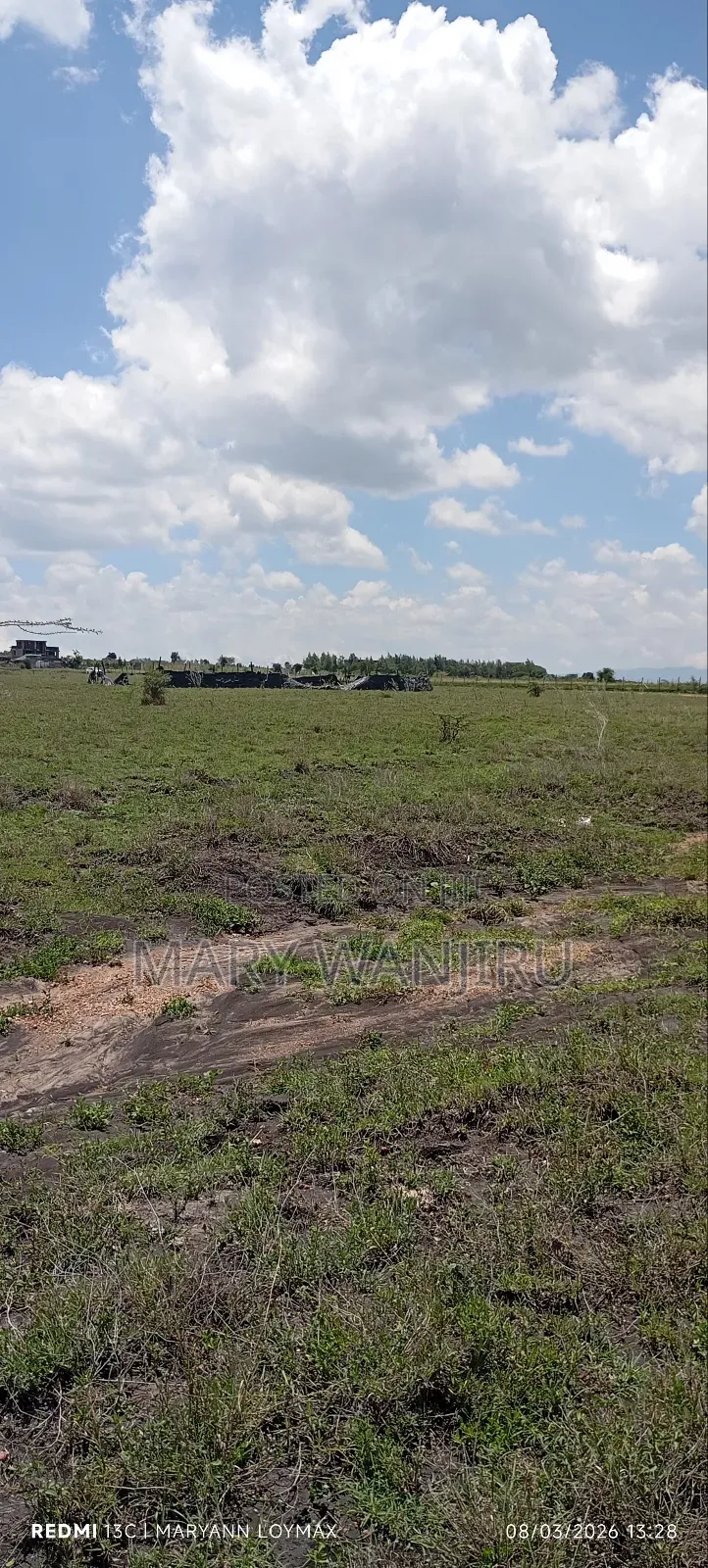 50/100 Plot Available for Sale