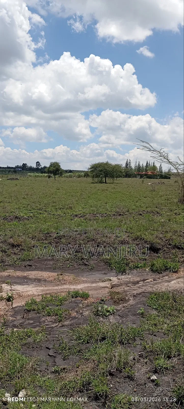 50/100 Plot Available for Sale