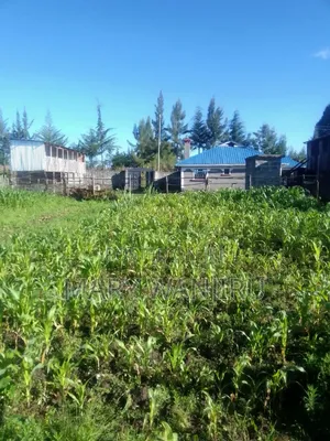 4bdrm Bungalow in Kipipiri for sale