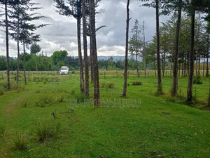 5 Acres Available for Sale