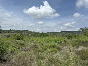 16 Acres Mua Hills Manzooni