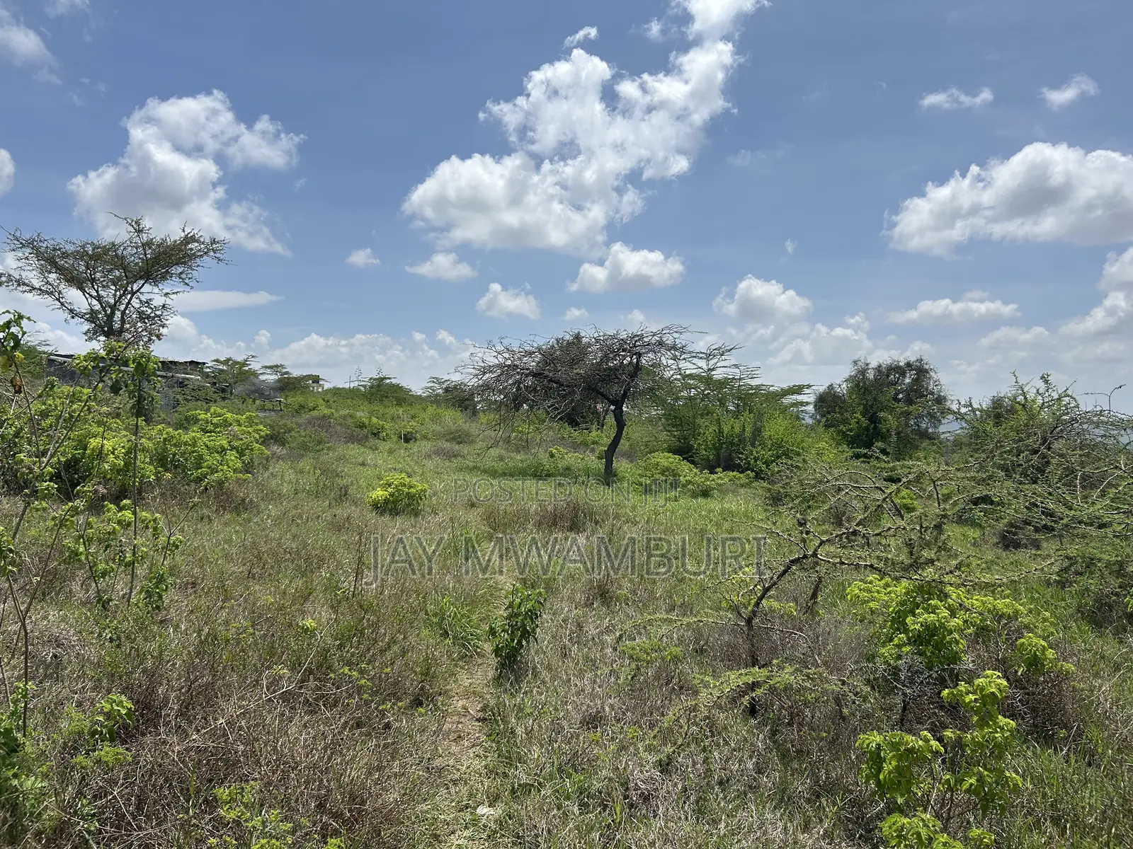16 Acres Mua Hills Manzooni
