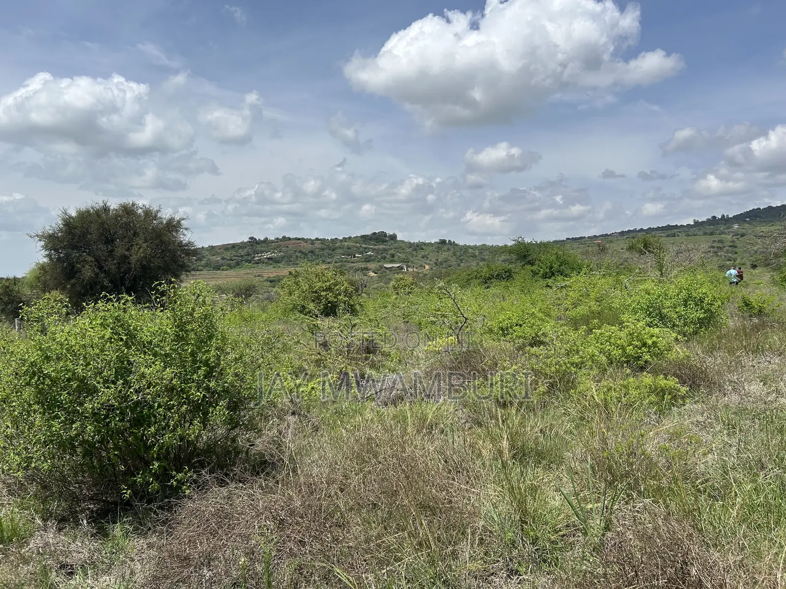 16 Acres Mua Hills Manzooni