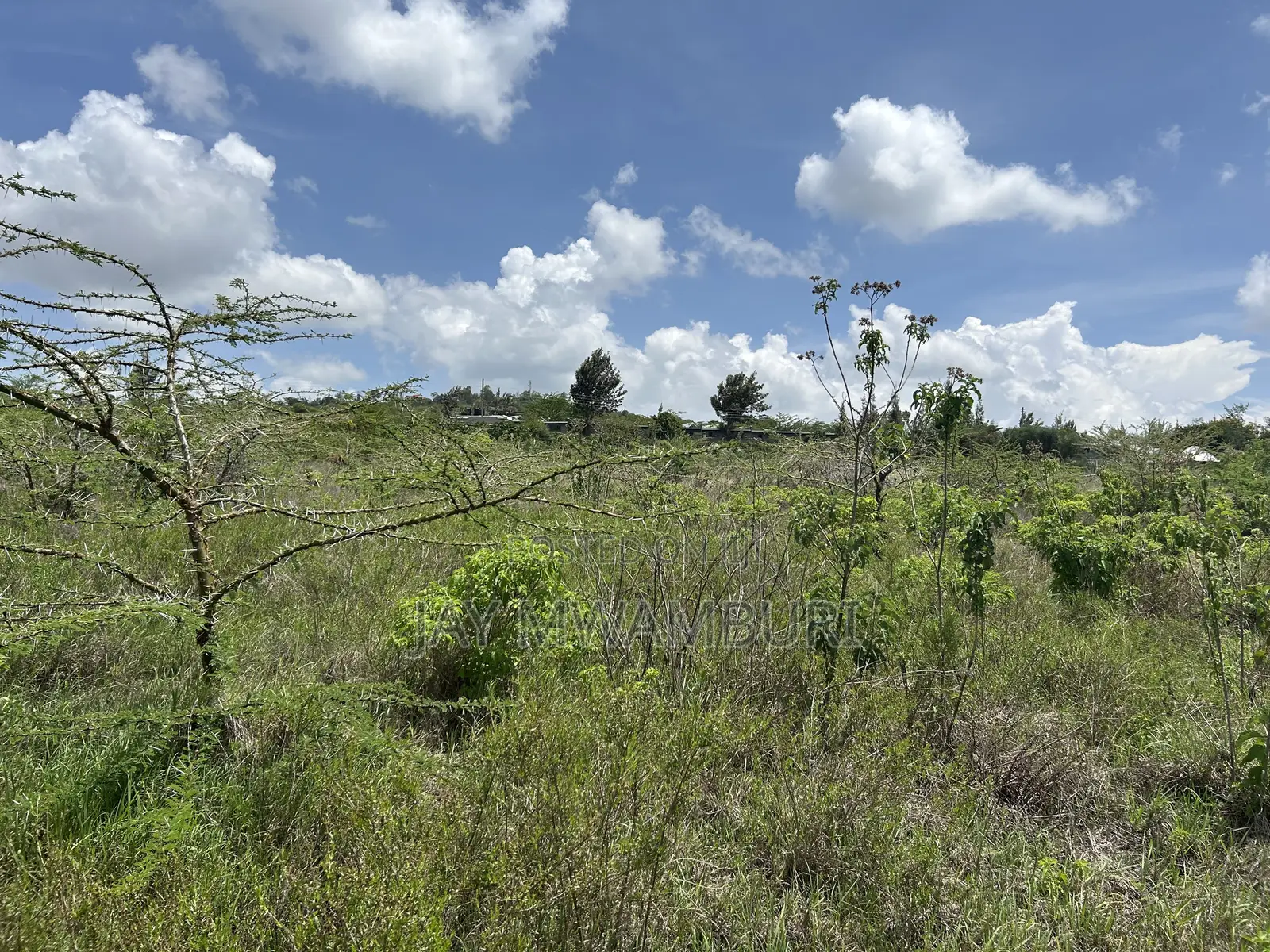 16 Acres Mua Hills Manzooni
