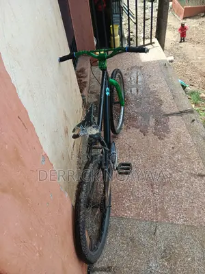 BMX Large Stunt Bike