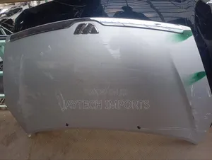 Wish 2002 Bonnet