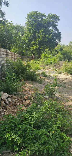 One Acre Piece of Land on Sale Old Nyali Mombasa by Benford Homes