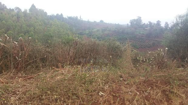 Prime Land at Sifa Farm Kitengela