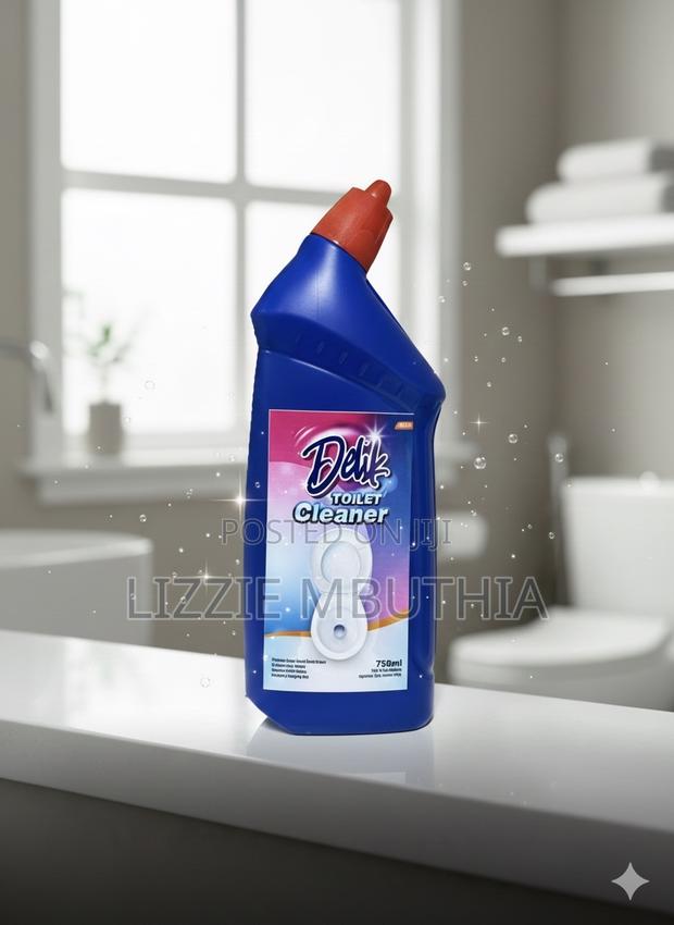 Toilet Cleaner - main view