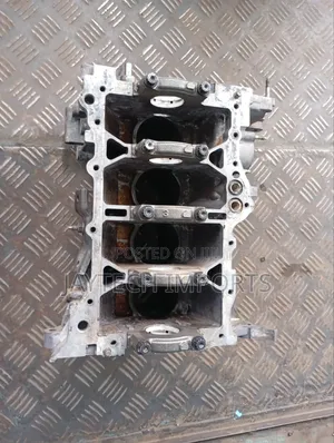 Axio /Fielder 1nz Engine Block