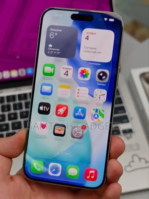 Apple iPhone 15 Pro Max 256 GB Gray