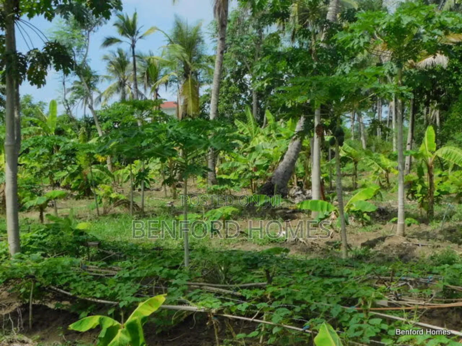 17 Acres of Land on Sale Along New Malindi Road Past Mtwapa