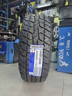 265/65r17 Goddard Cradec Tire