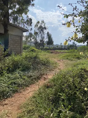 Prime 0.5-Acre Residential Plot for Sale – Loresho, Nairobi