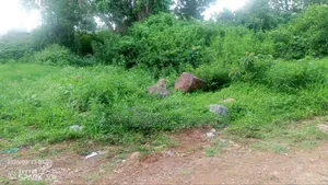 Roysambu Mirema Road