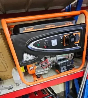 Pacwell Lt8000en-4 Portable Gasoline Generator.