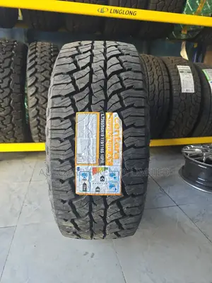 265/55r19 Centara Adventure All-terrain Tire