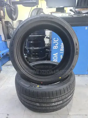 245/40r19 Dunlop Tire