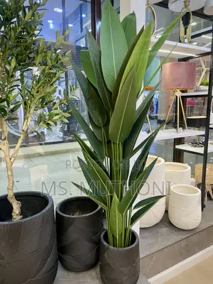 Aesthetic Real Touch Big Decorative Tropical Plant (180 Cm)