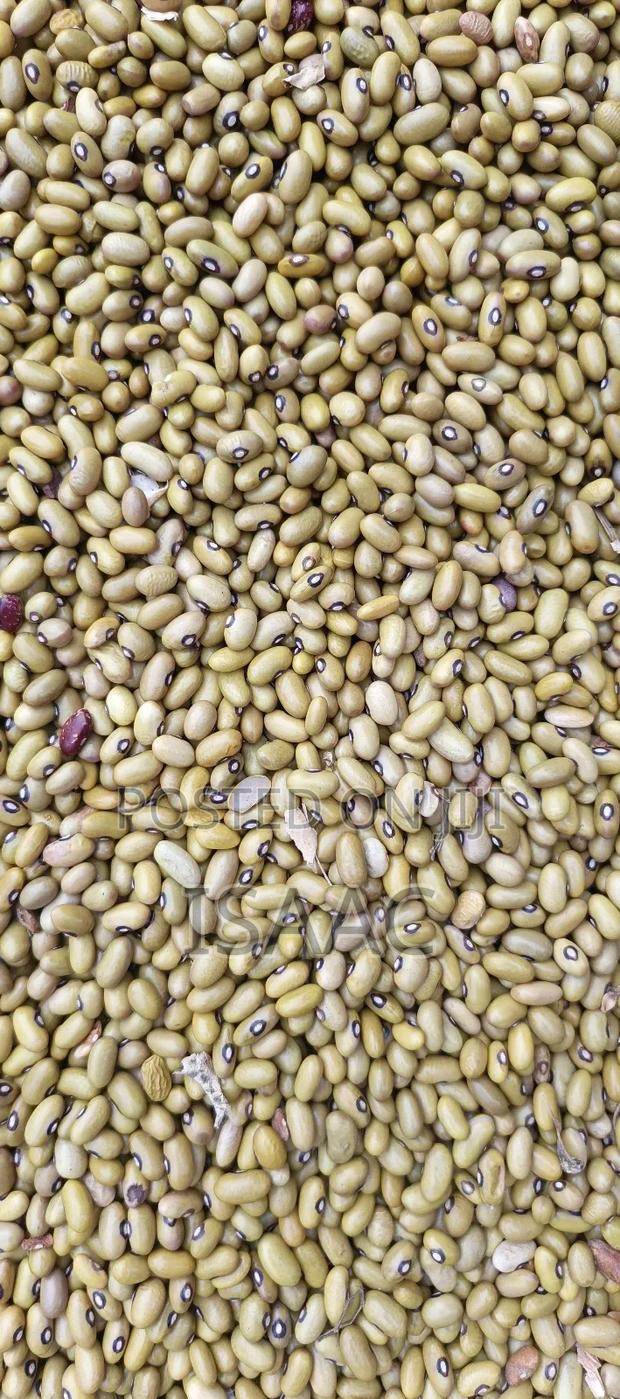 Yellow Been for Sell - thumbnail 2