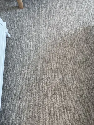 Delta Wall to Wall Carpet for Modern Homes and Offices