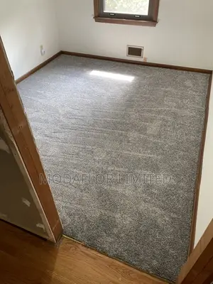 Delta Wall to Wall Carpet for Interior Finishing
