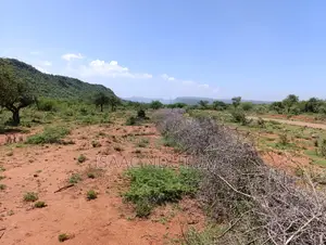 2 Acres Saikeri Price: KSH 1.5m Per Acre (Total KSH 3m)