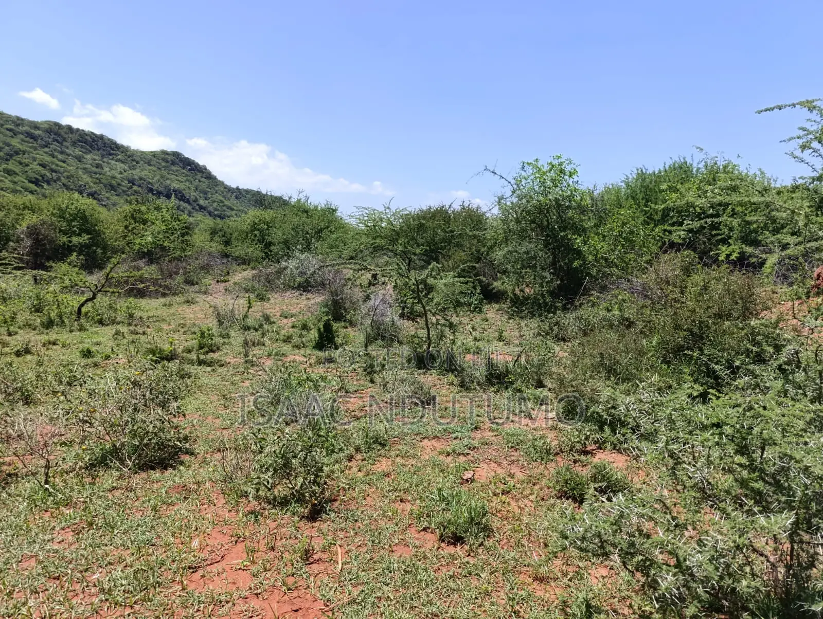 2 Acres Saikeri Price: KSH 1.5m Per Acre (Total KSH 3m)