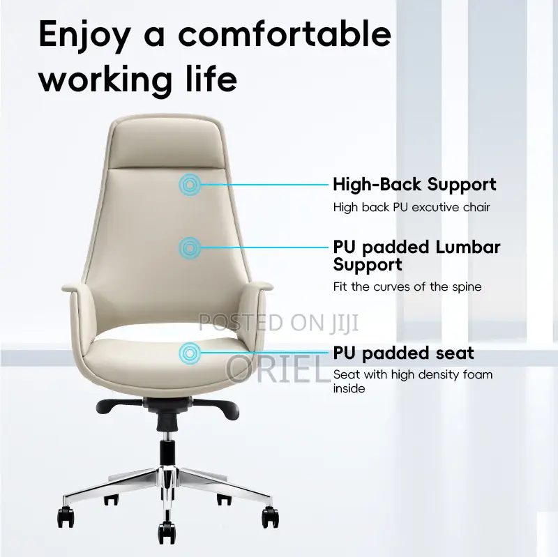 Office Chair : Executive Luxury Design Office Ergonomic Chair