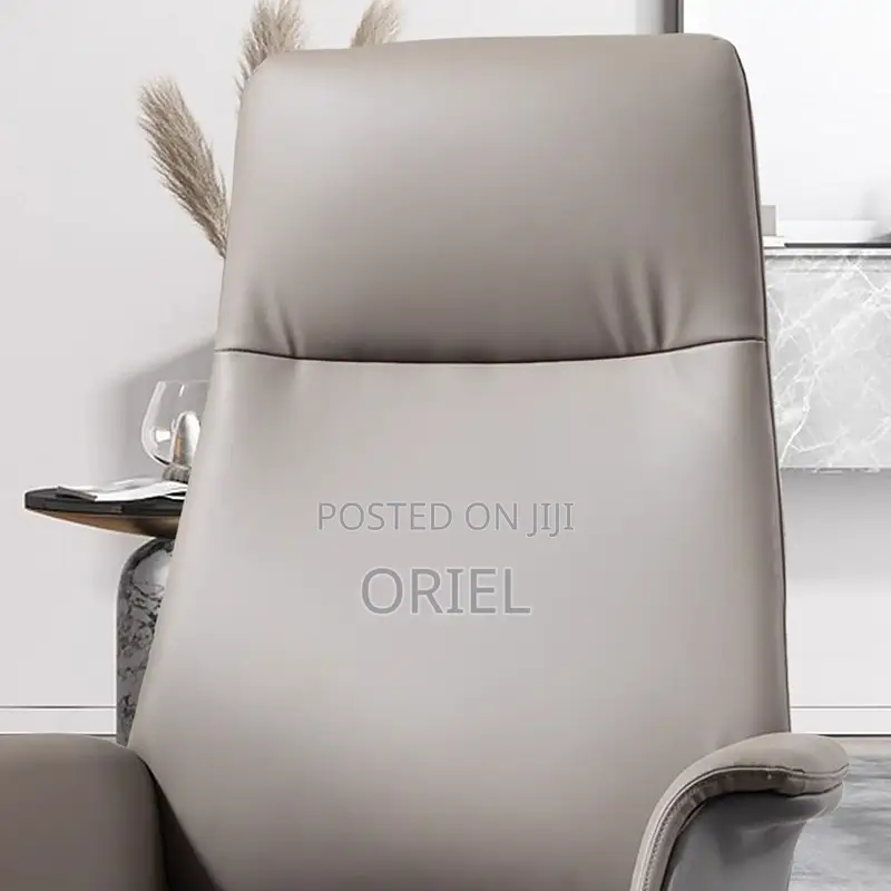 Office Chair : Executive Luxury Design Office Ergonomic Chair