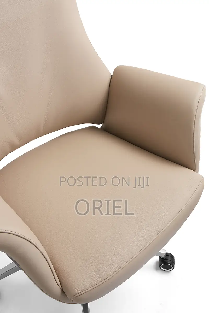 Office Chair : Executive Luxury Design Office Ergonomic Chair