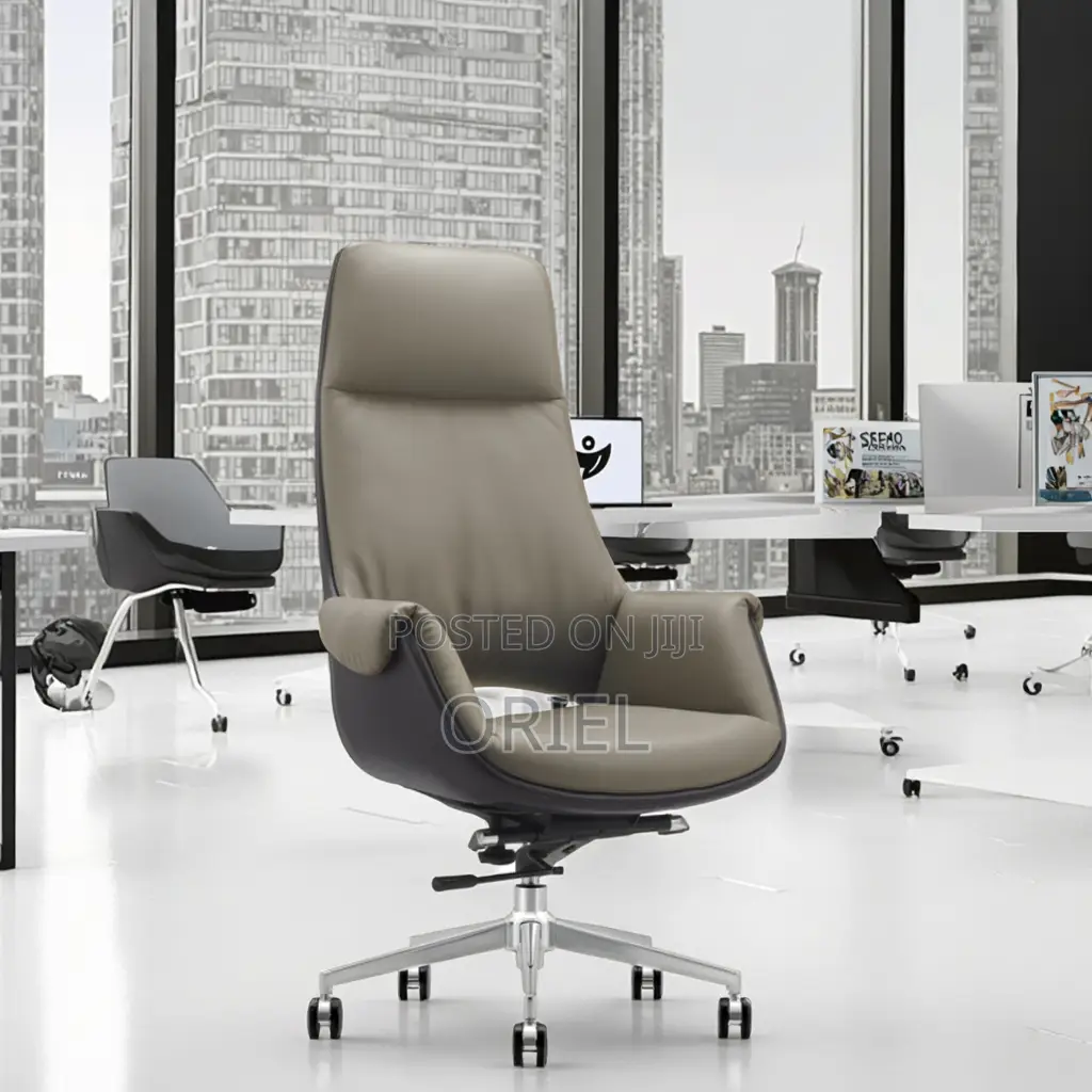 Office Chair : Executive Luxury Design Office Ergonomic Chair