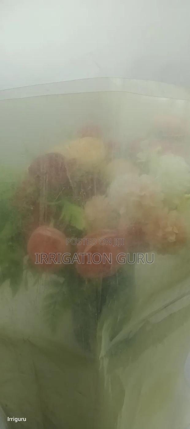 Crop Kali Cover - main view
