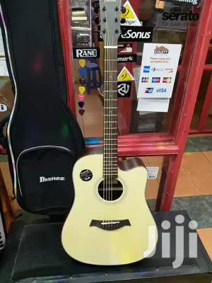 Fender Semi Acoustic Professional Guitar 20l