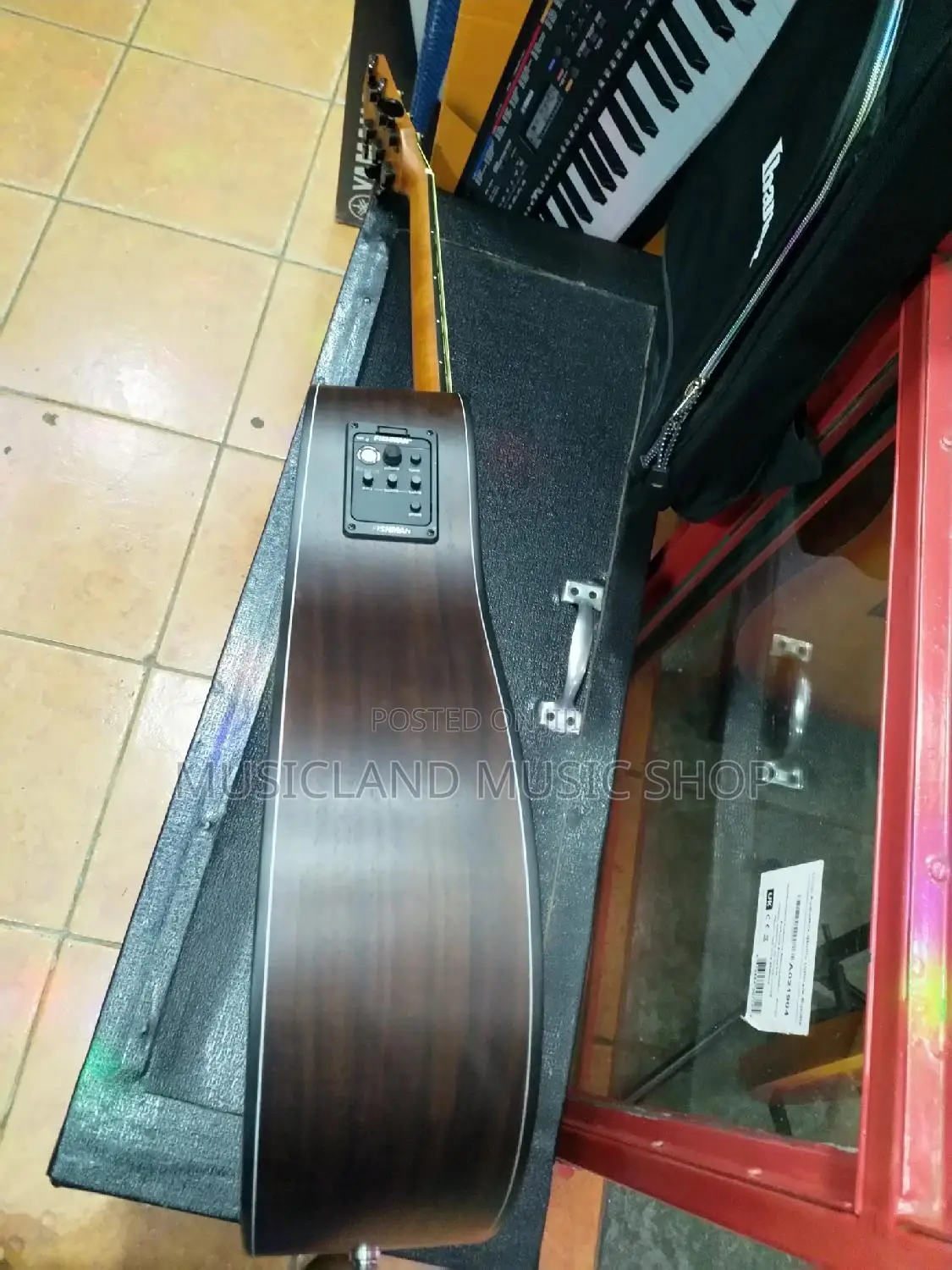 Fender Semi Acoustic Professional Guitar 20l