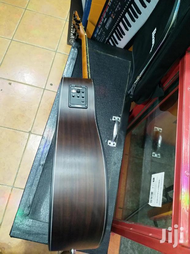 Fender Semi Acoustic Professional Guitar 20l - thumbnail 3