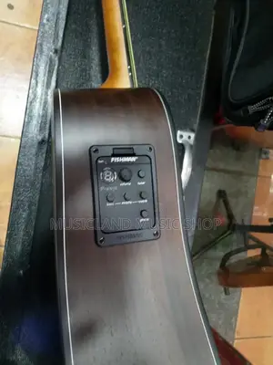 Fender Semi Acoustic Professional Guitar 20l