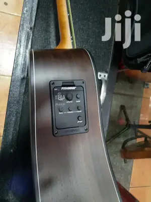 Fender Semi Acoustic Professional Guitar 20l
