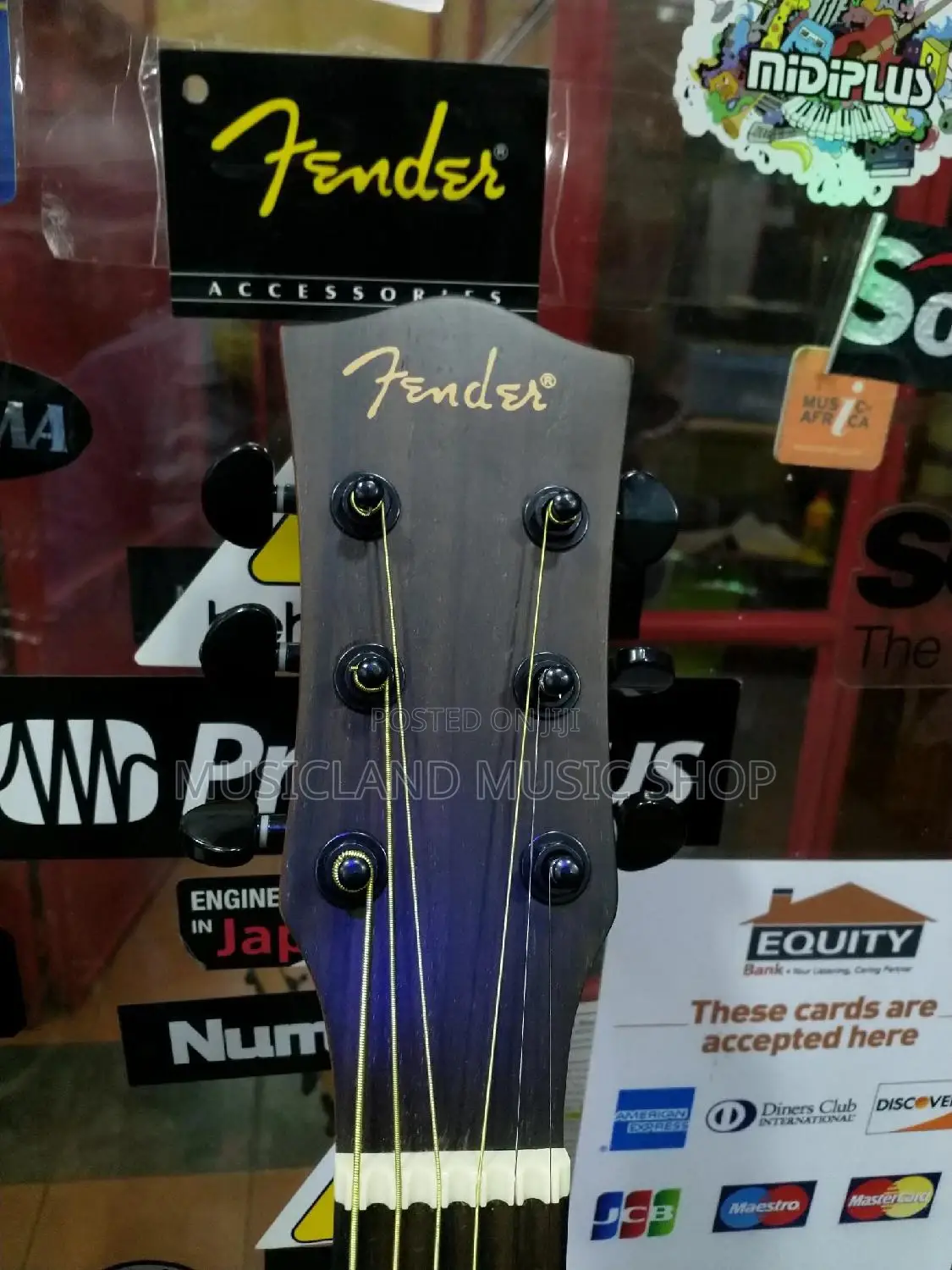 Fender Semi Acoustic Professional Guitar 20l